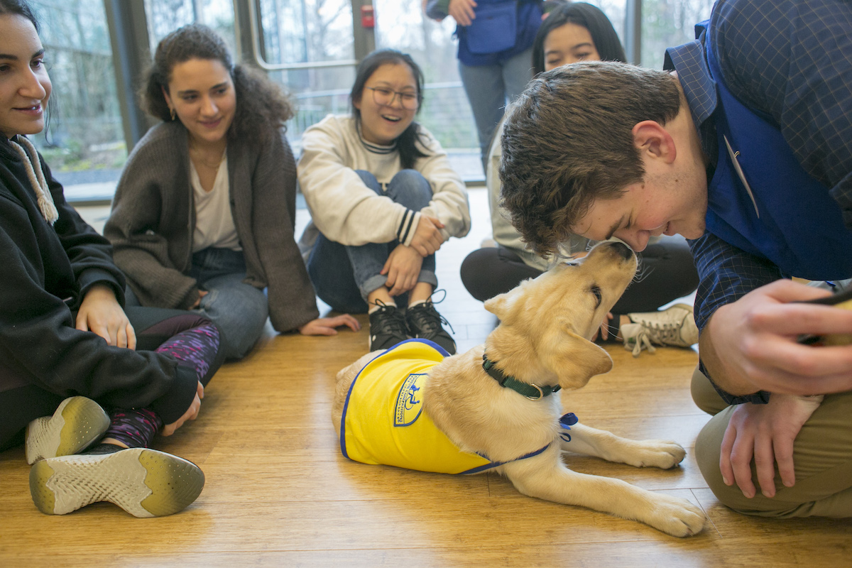 Jesse Prakken gets a nuzzle from Wisdom as he and classmates enjoy a visit with puppies from the Duke Canine Cognition Center