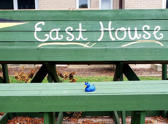 East House bench