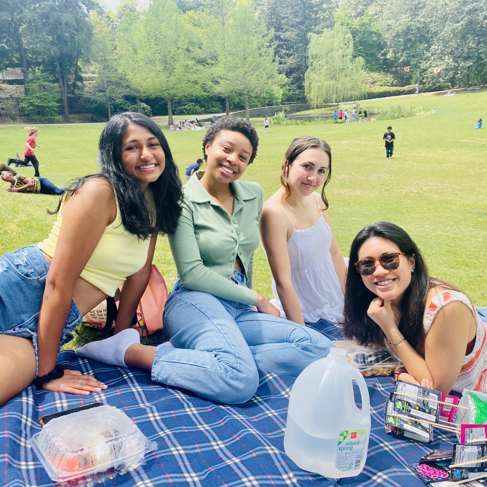 four women on a blanket picnicing in a field