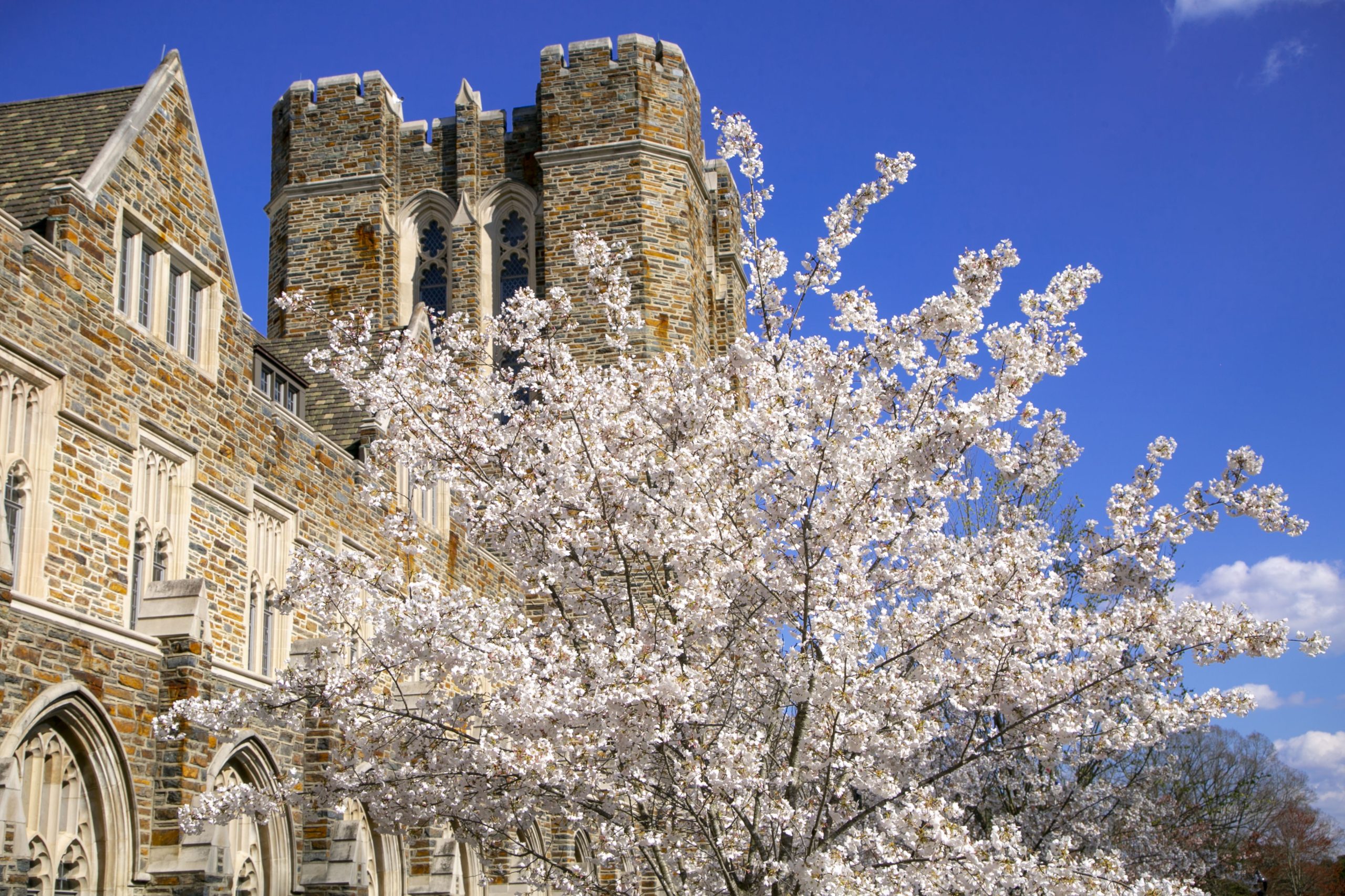 duke-student-affairs